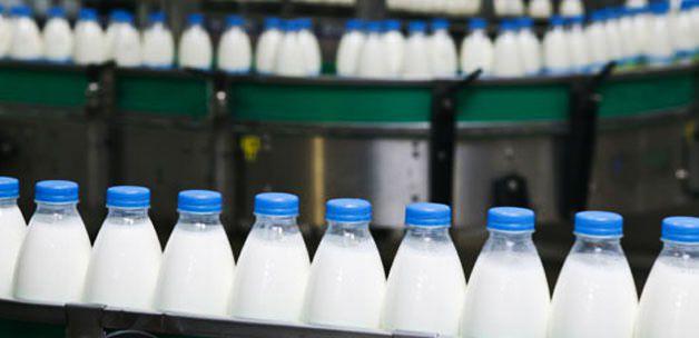 Türk firmaları Rusyaya Süt İhracat etmeye başlıyor