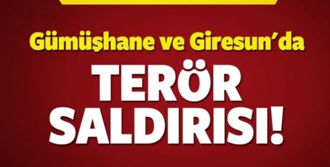 Giresun ve Gümüşhane’de terör yine saldırdı