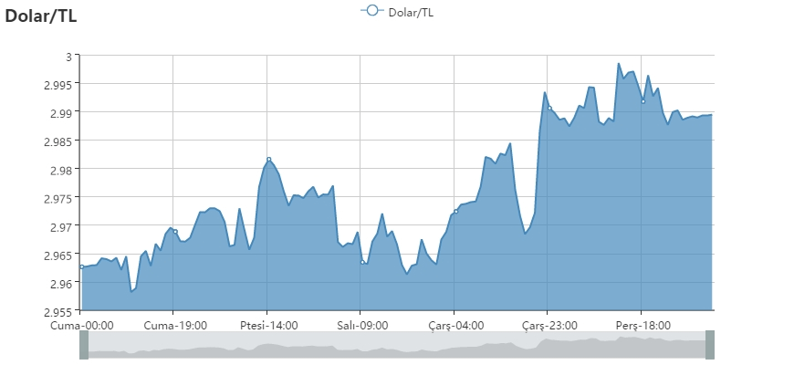 e41c340c-990c-40eb-8364-8d0c0c8c9034_Dolar-TL (20)