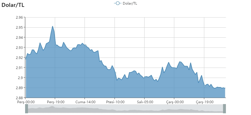 0d920e9e-cb50-4d3b-8269-d82bc9f03fa8_Dolar-TL (10)