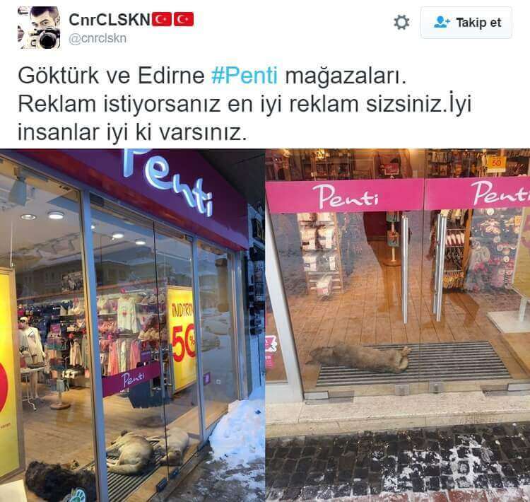 Türkiye'den kar görüntüleri