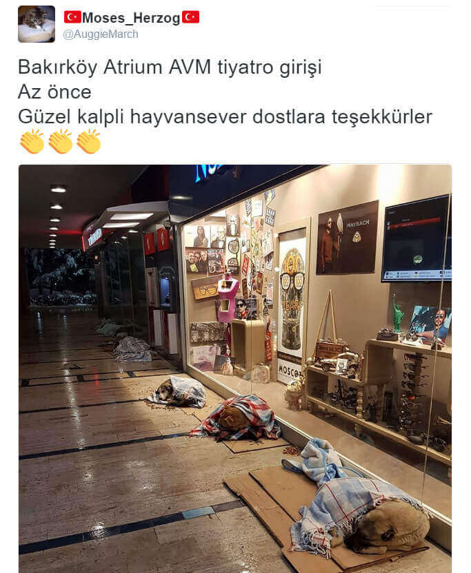 Türkiye'den kar görüntüleri