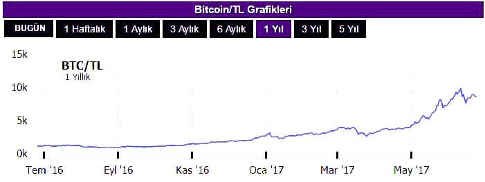 bitcoin 1 yıllık analiz
