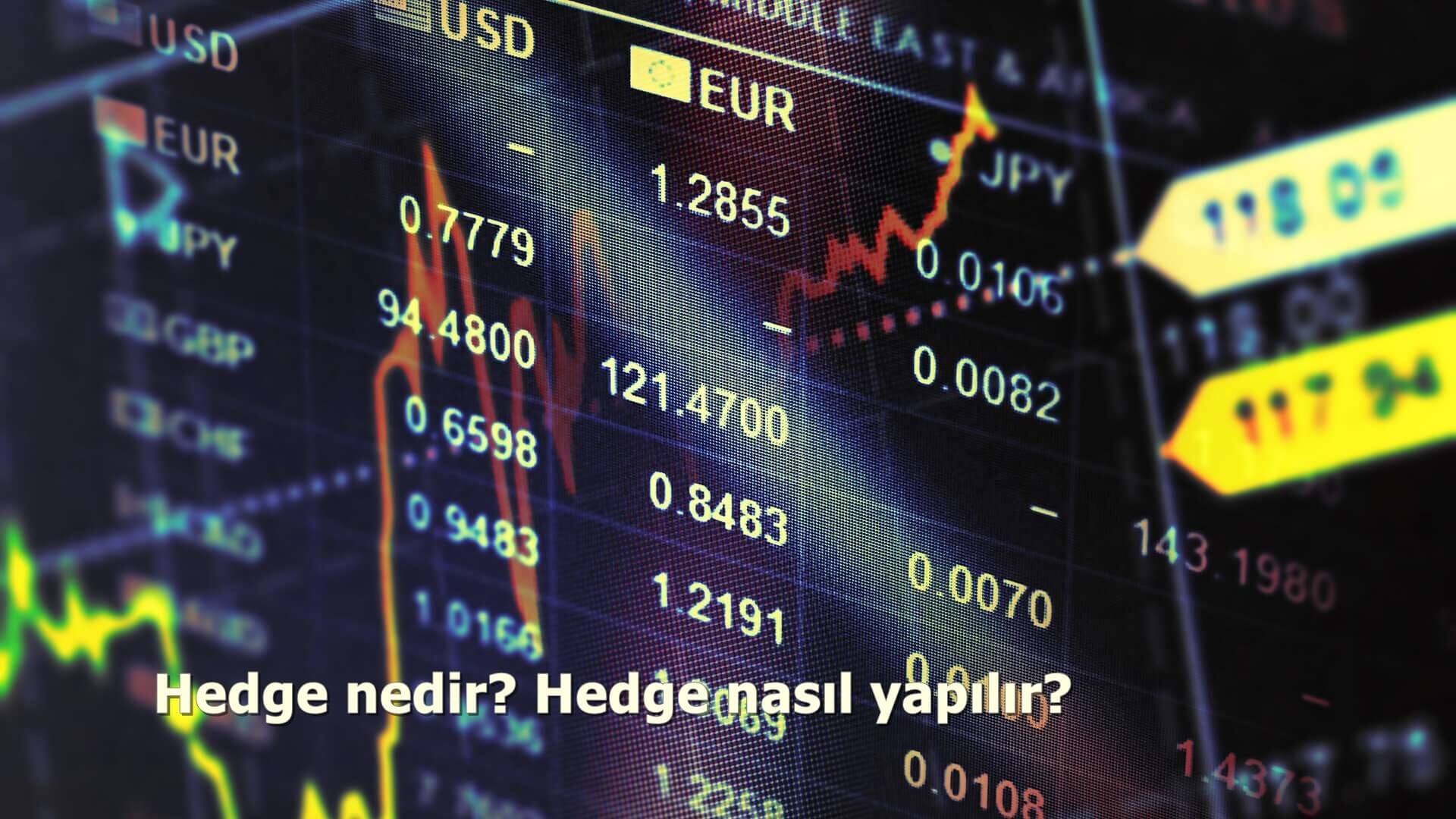 Hedge nedir? Hedge nasıl yapılır?