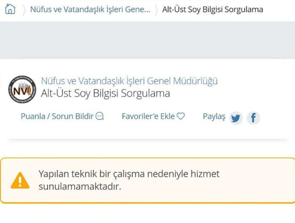 Soyağacı ne zaman hizmete sunulacak